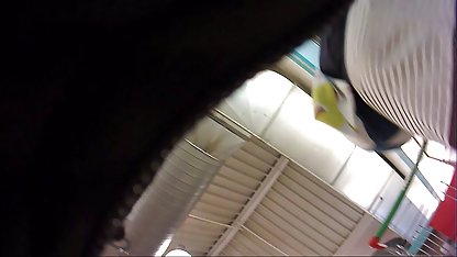 Gina hd porn jepang casting -